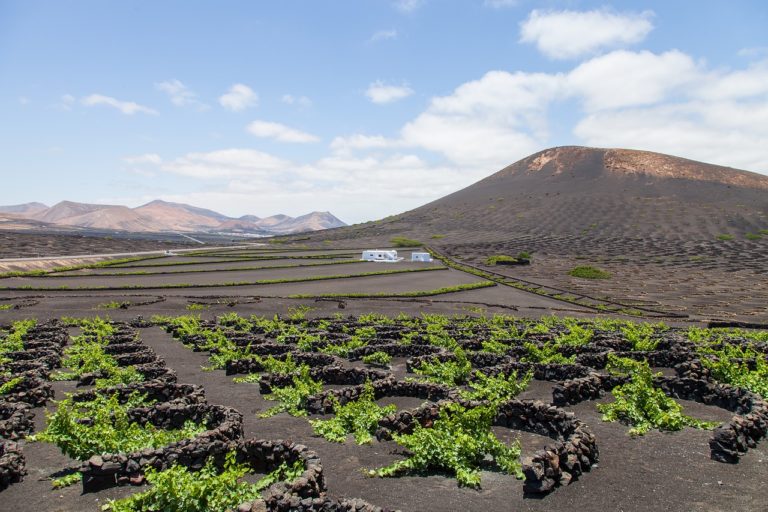 La Geria en Lanzarote - Vinos de Lanzarote