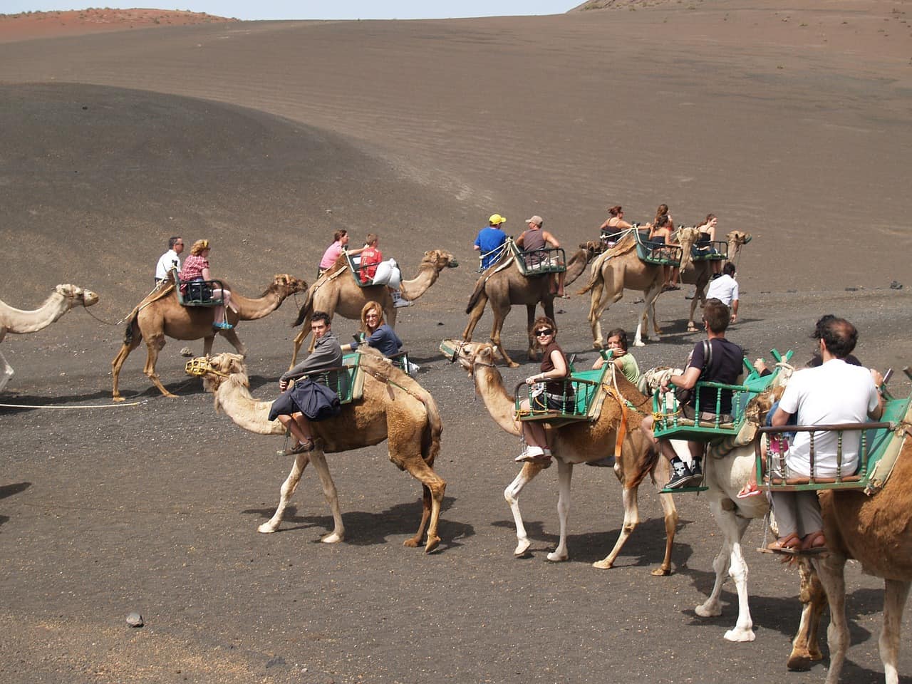 Paseo en Camello Lanzarote