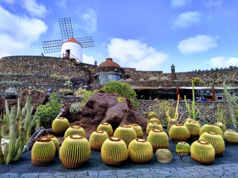 Jardin de Cactus Lanzarote